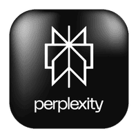 Perplexity